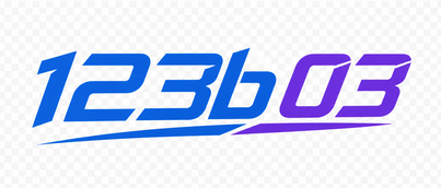 123b 03